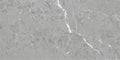 Nordic Fossil